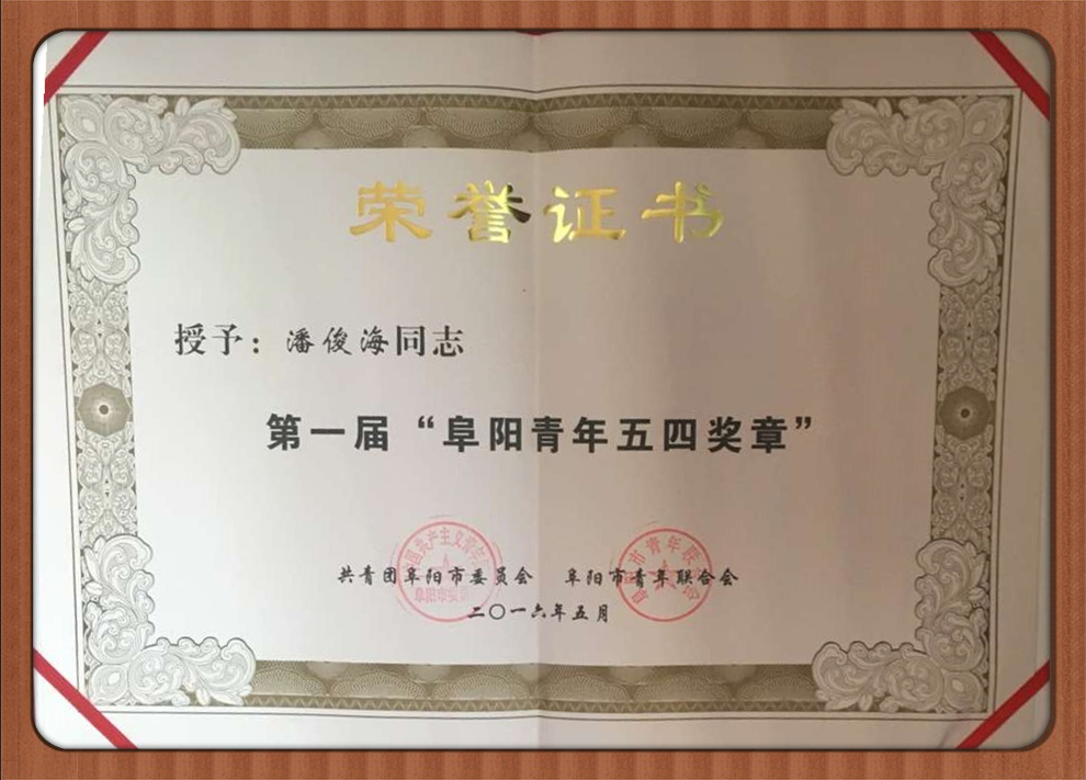 阜陽青年五四獎章